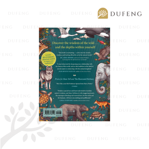 Illustrated bestiary 2