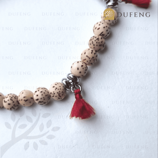 Tibet’s Blessing Bracelet