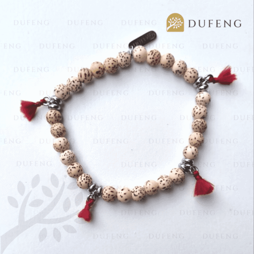 Tibet’s Blessing Bracelet