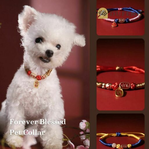 Kalung Anjing