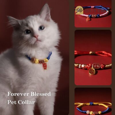 aksesoris Kalung Kucing