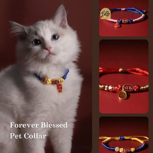 aksesoris Kalung Kucing