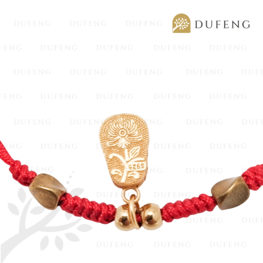 Lucky Tiger Shoes Red Bracelet