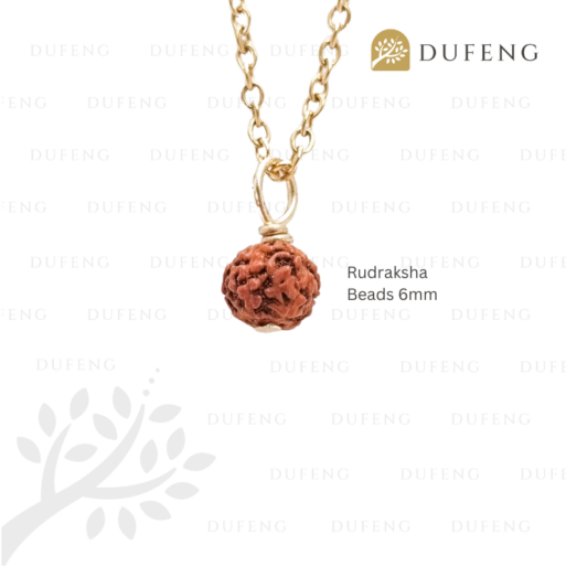 Healing Essence Rudraksha Necklace