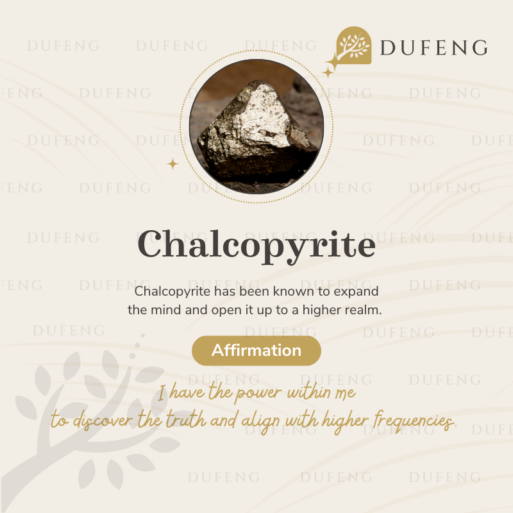 Dufeng – Chalcopyrite Turtle Necklace